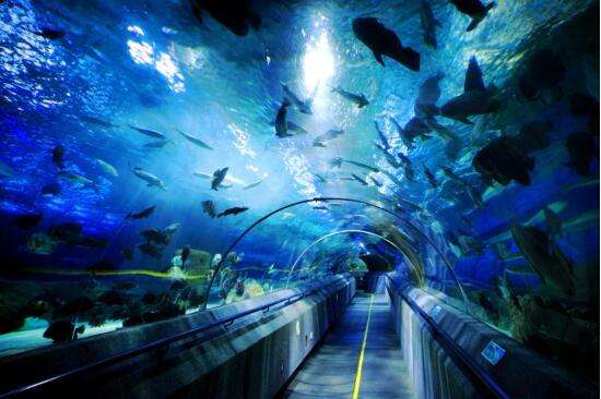 游樂(lè)設(shè)備